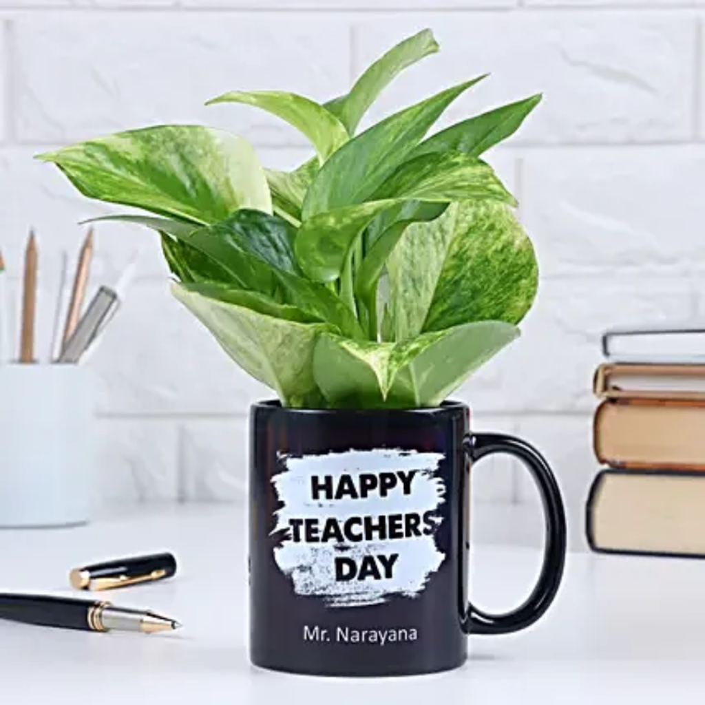 Teacher's day thoughtful Gifts